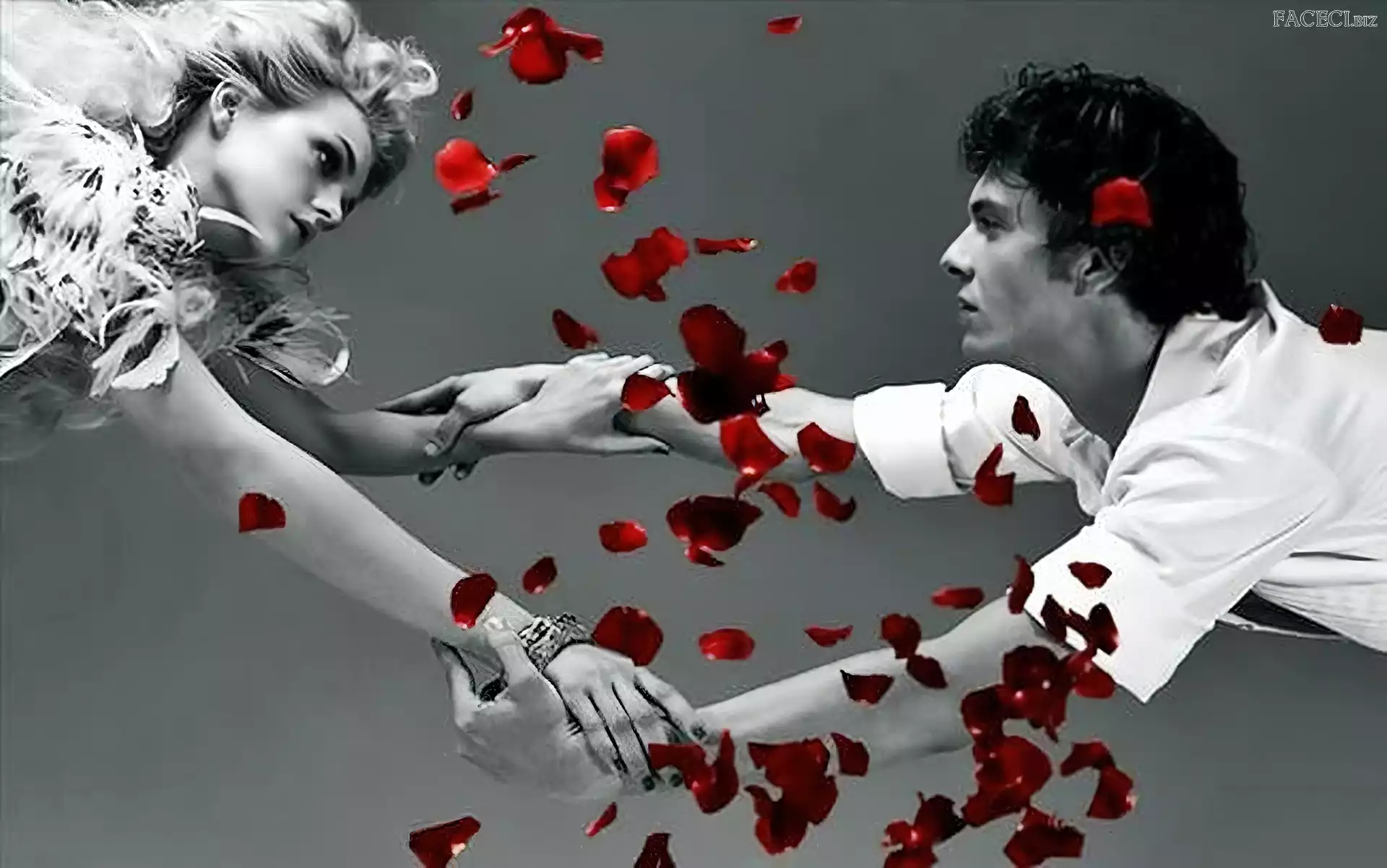 Mężczyzna, Róży, Kobieta, Płatki