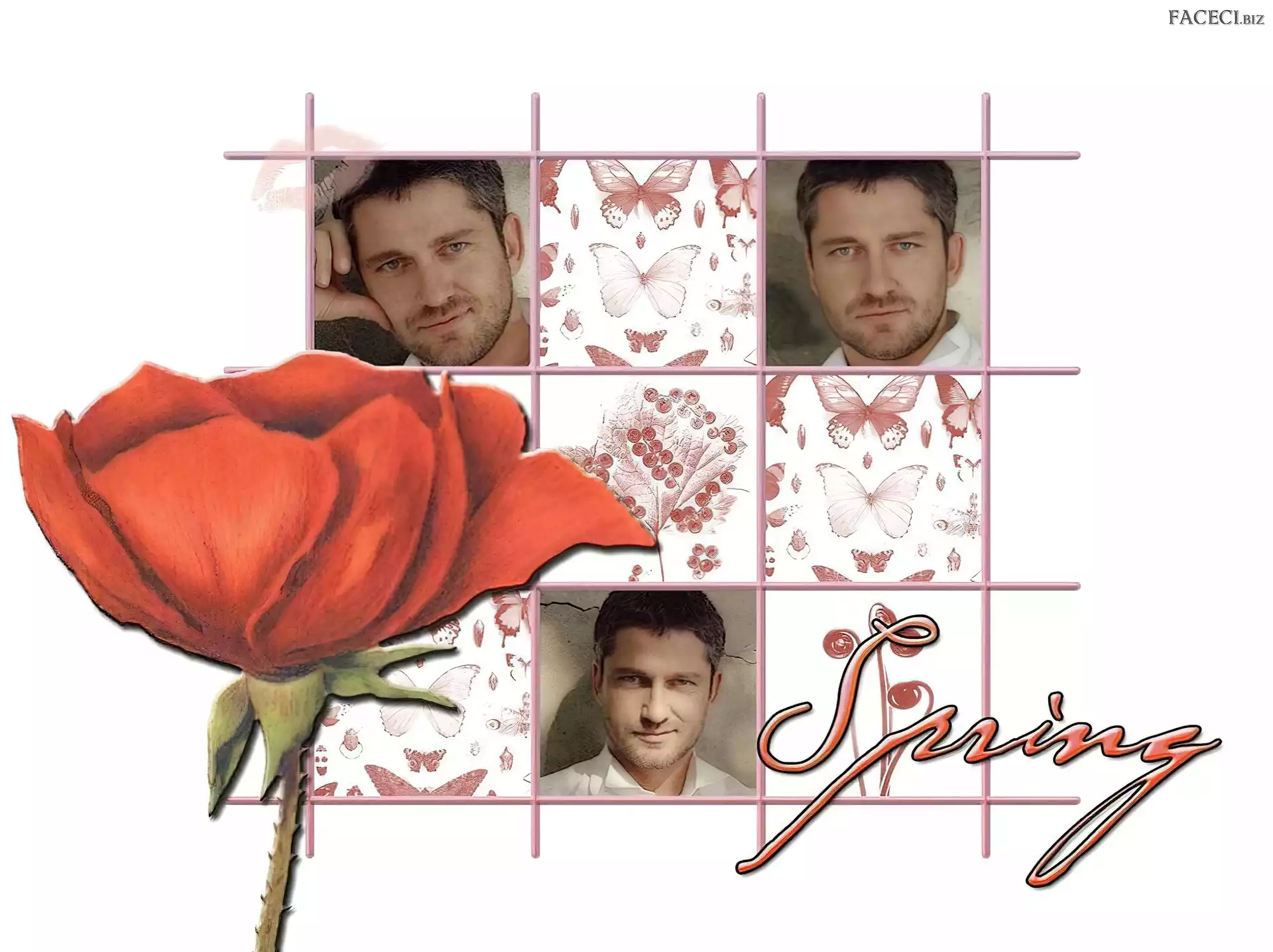 Gerard Butler, spring, mak, motyl