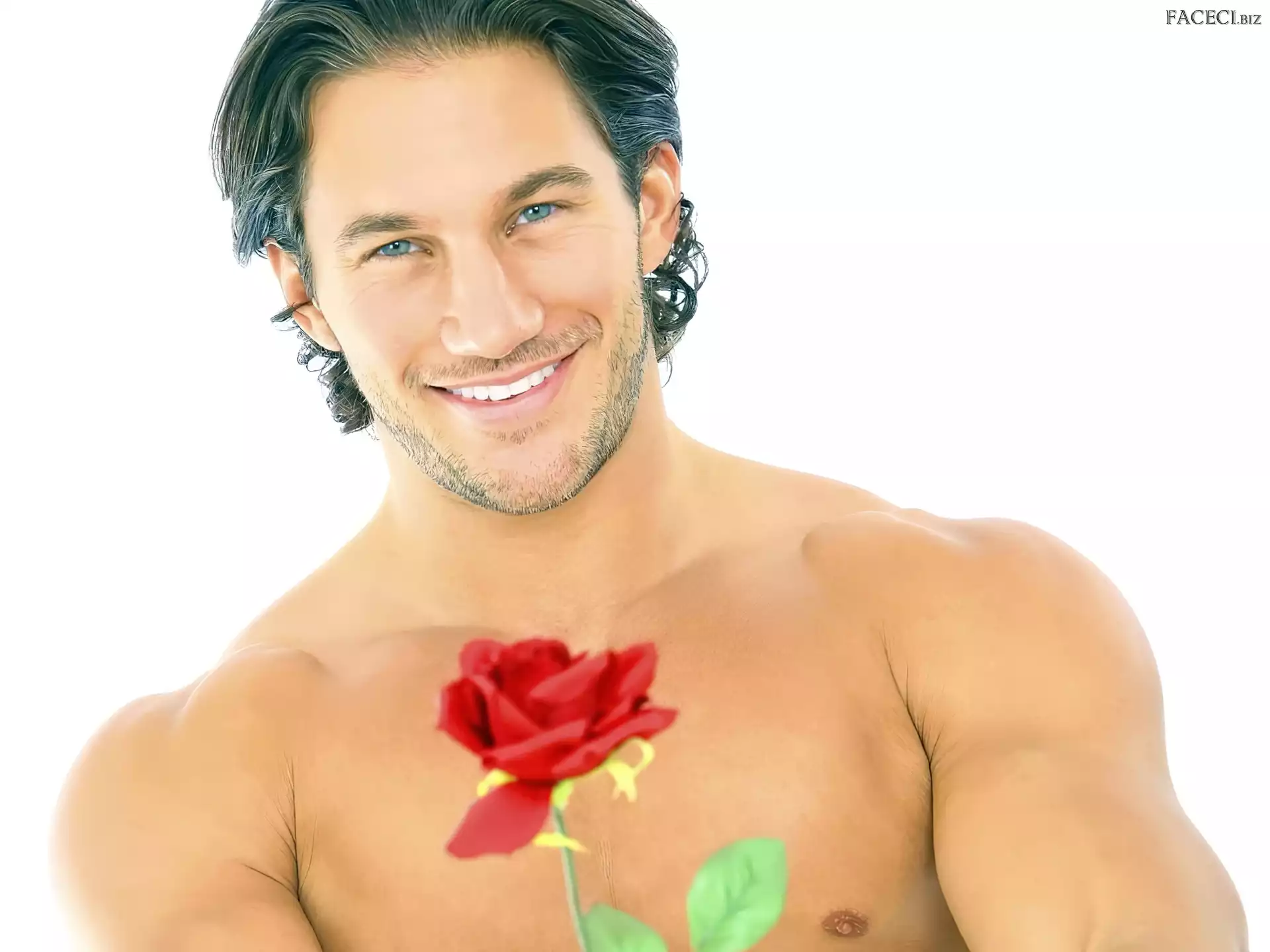 Uśmiech, Róża, Brunet, Czerwona