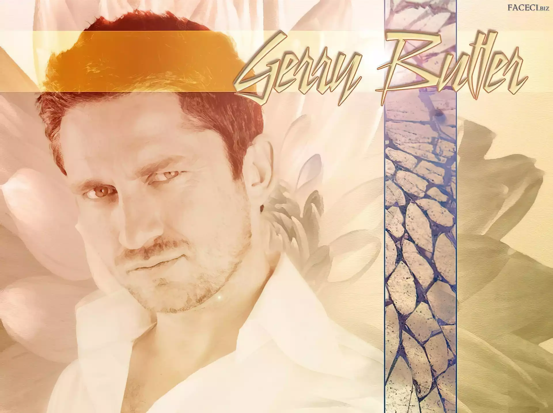 zarost, Gerard Butler, twarz